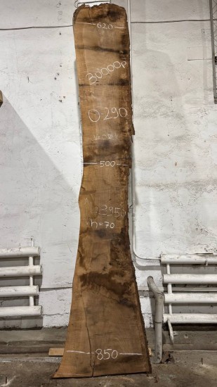 Слэб О290 Орех 3950*500-850*70