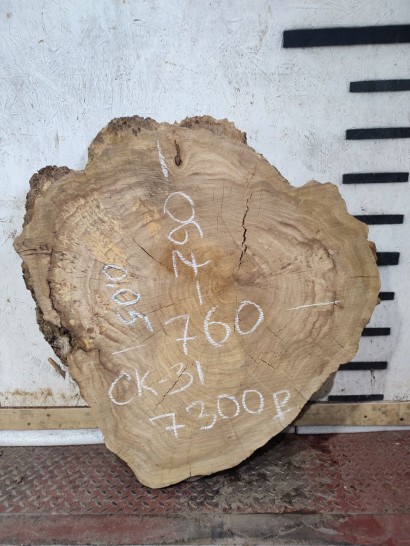 Спил СК31 Карагач 790*760*100