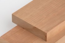 Вишня Американская 52 мм