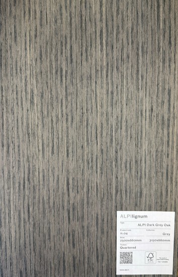 Dark Grey Lati 11.11