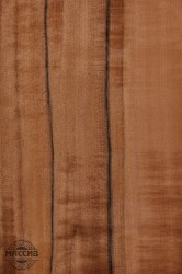 Шпон Тинео 0,6 А